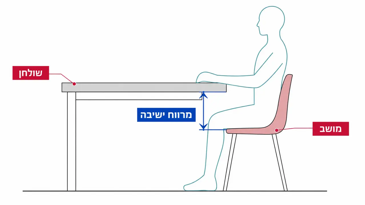 כיסאות איטלקיים מודרניים ונוחות לאורך זמן